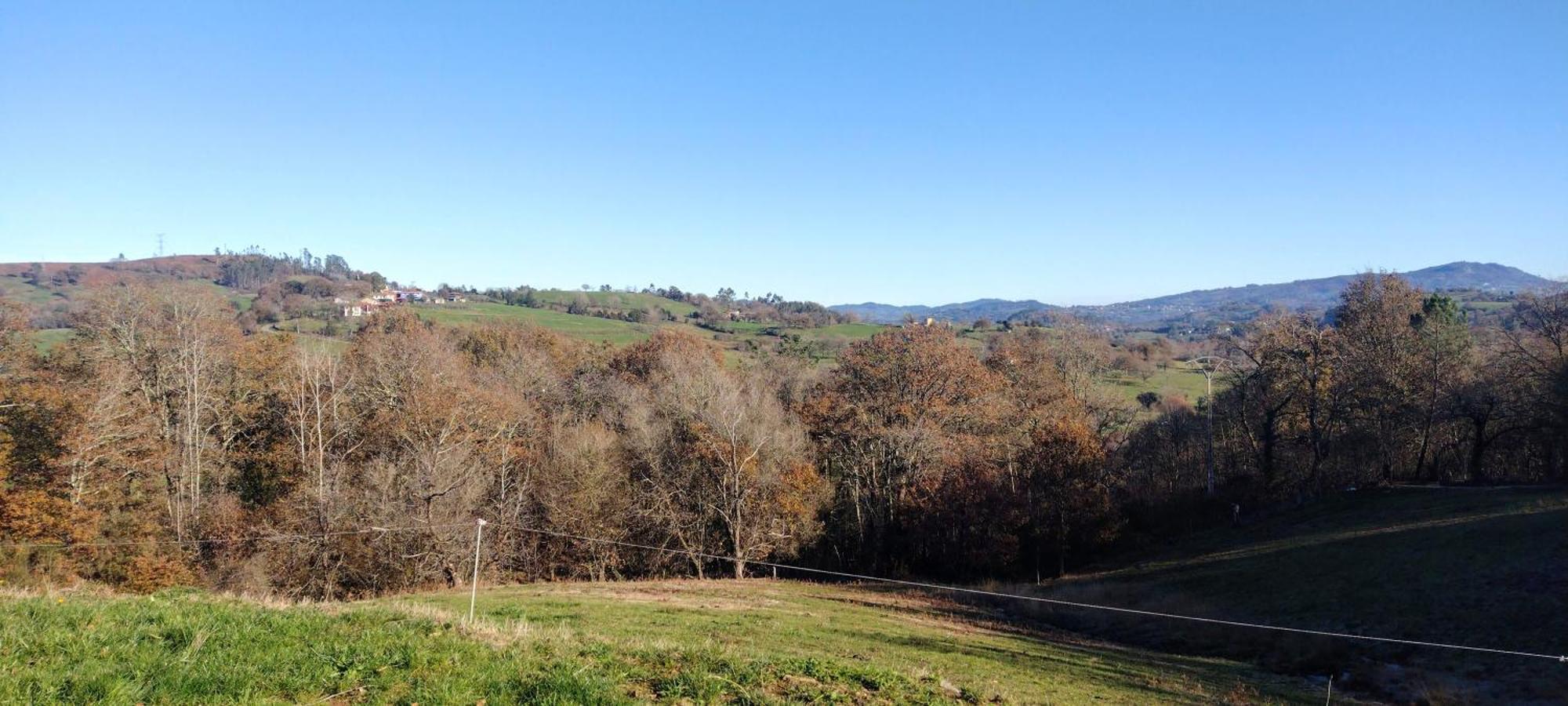 Casa Rural Tulia Grado Esterno foto